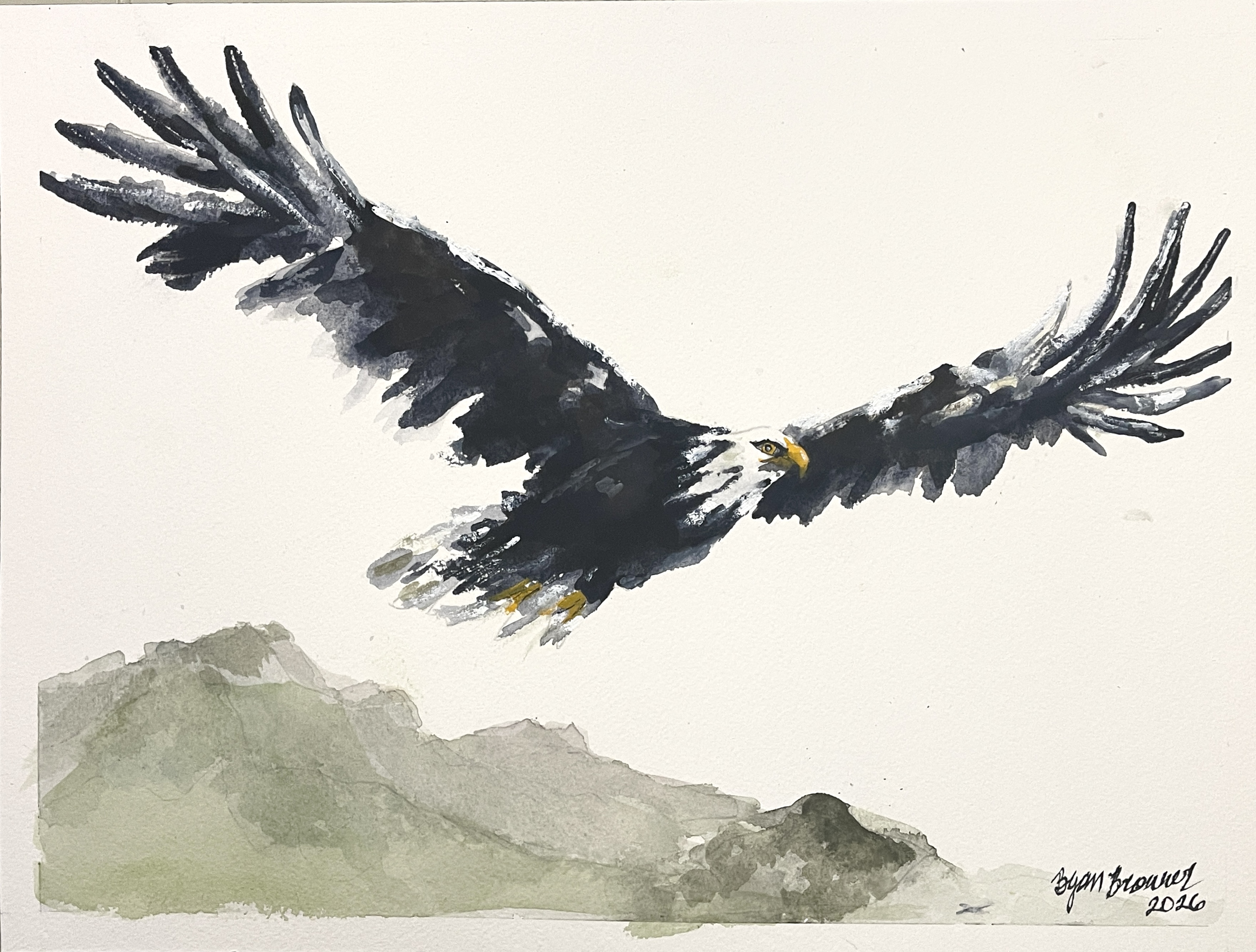 Bald Eagle, a watercolor of a bald eagle soaring over a mountain ridge by Bryan Brouwer