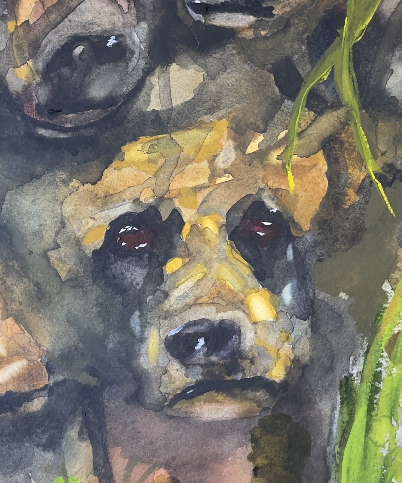 Close-up detail of a curious black bear in The Four Curious Bears watercolor by Bryan Brouwer