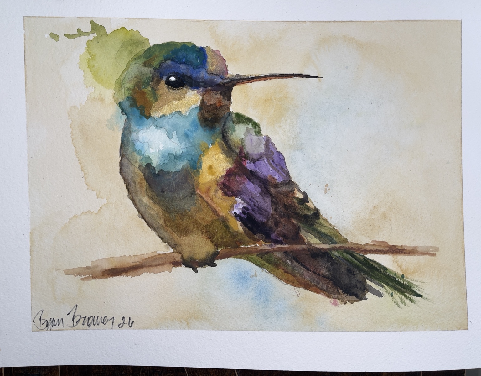 Completed hummingbird watercolor by Bryan Brouwer, with turquoise, violet, green, and gold plumage, perched on a branch