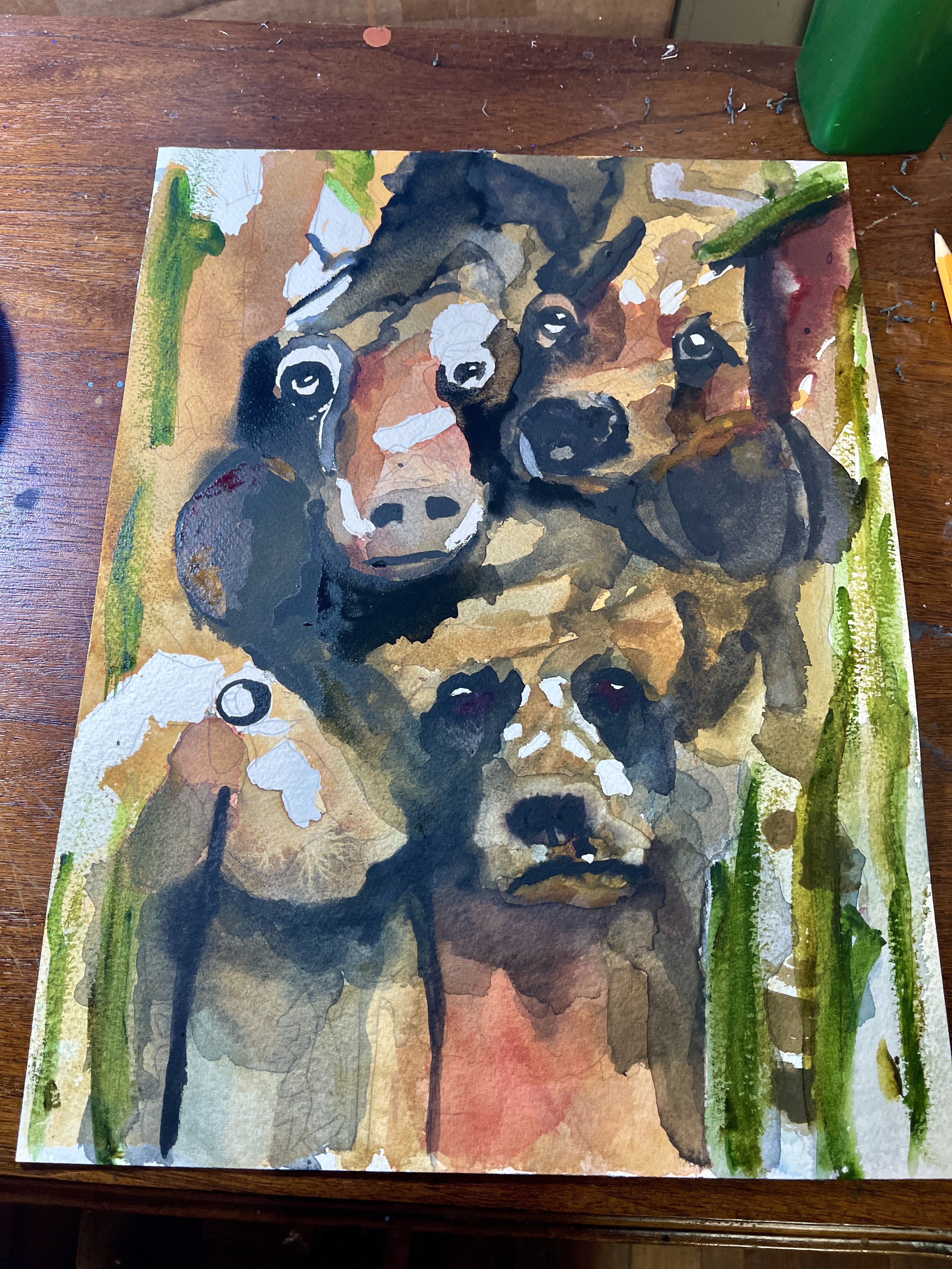 Three Bears watercolor in progress on Bryan’s work table